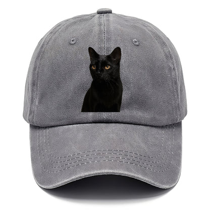 bombay-sleek-mystique Hat