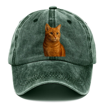 ginger-cat-warmth Hat