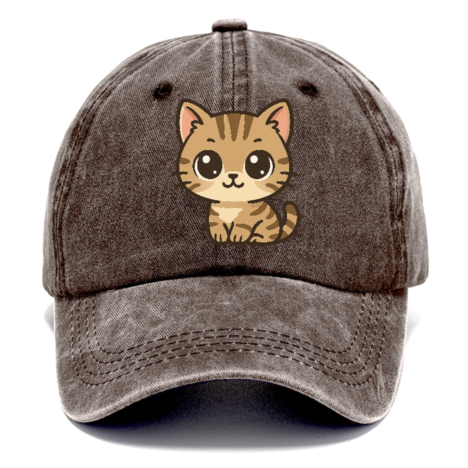 tabby-mix-playful-spirit Hat