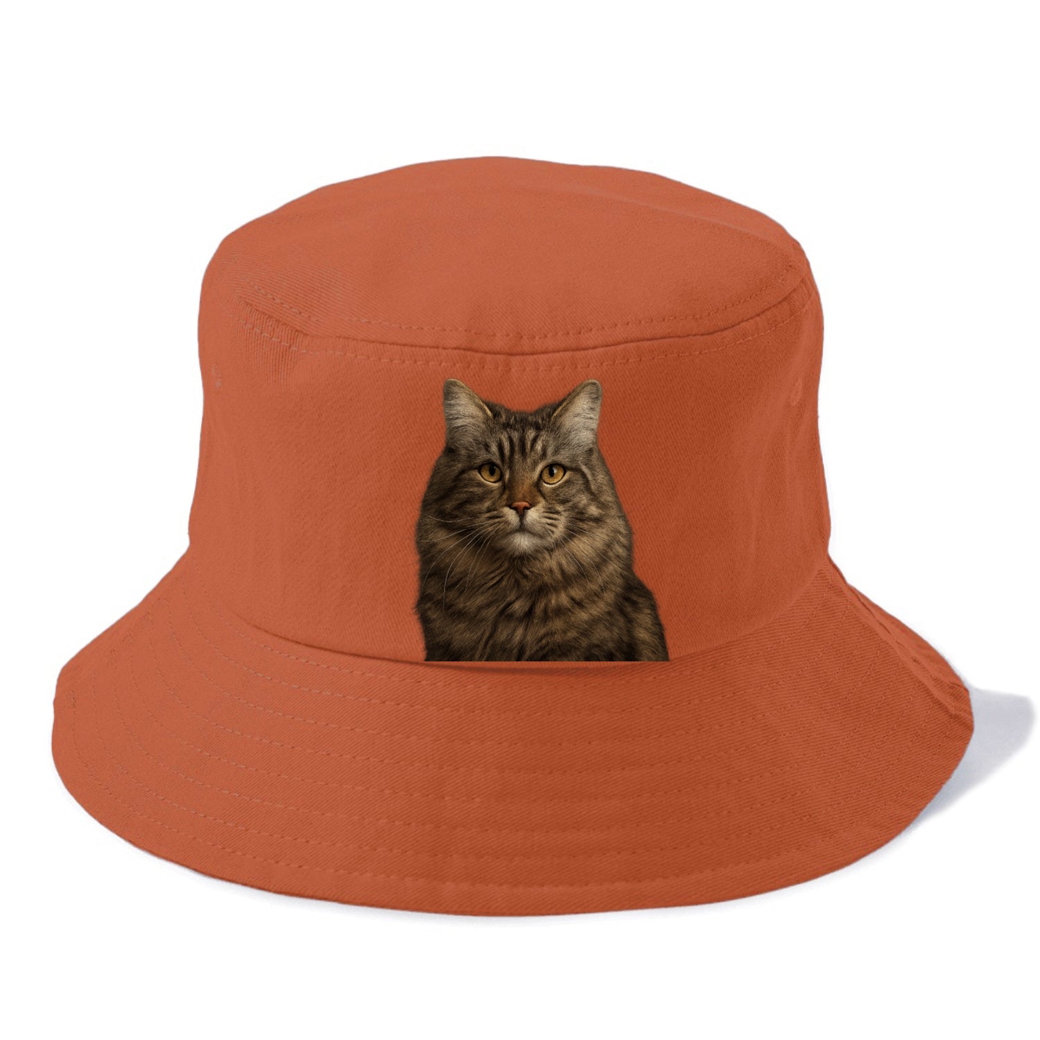 maine coon majestic feline Hat