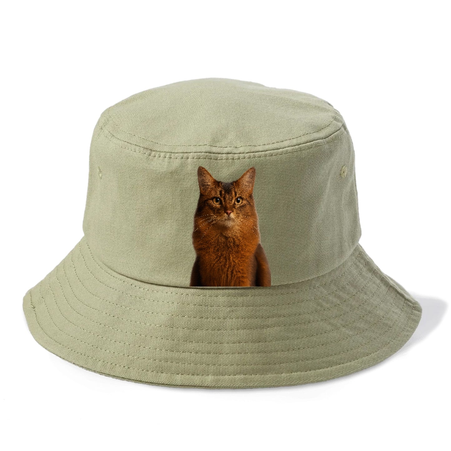 somali-cat-agile-grace Hat