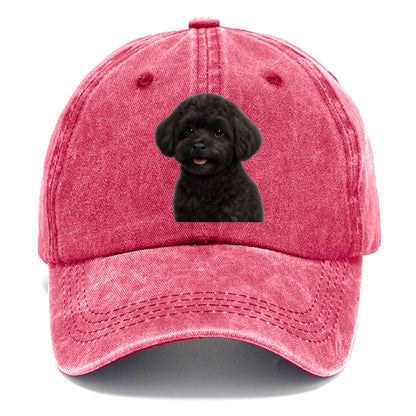 black maltipoo portrait design Hat