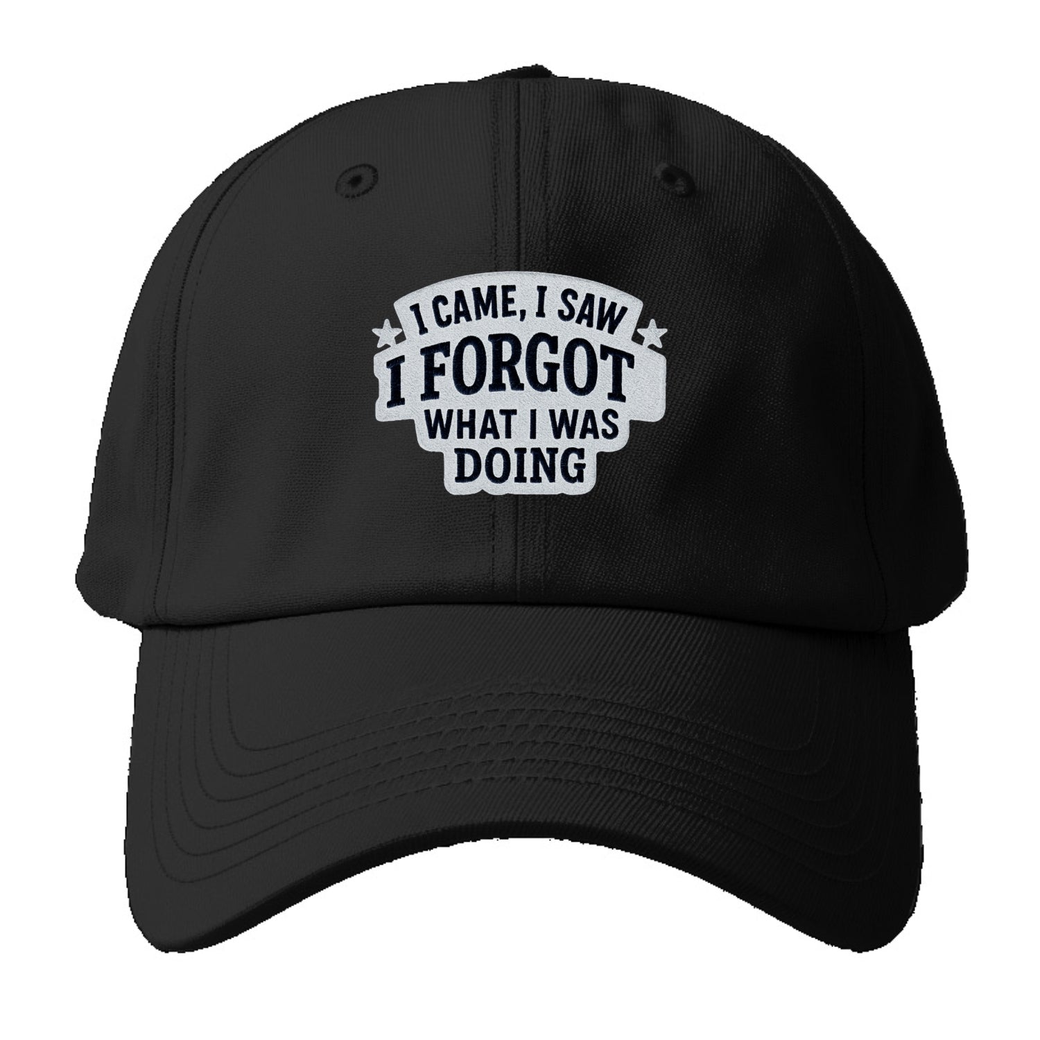 i came i saw i forgot what i was doing Hat