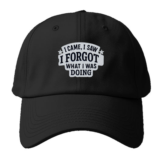 i came i saw i forgot what i was doing Hat