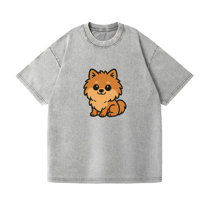 pomeranian orange fluffy sitting pose portrait design Hat