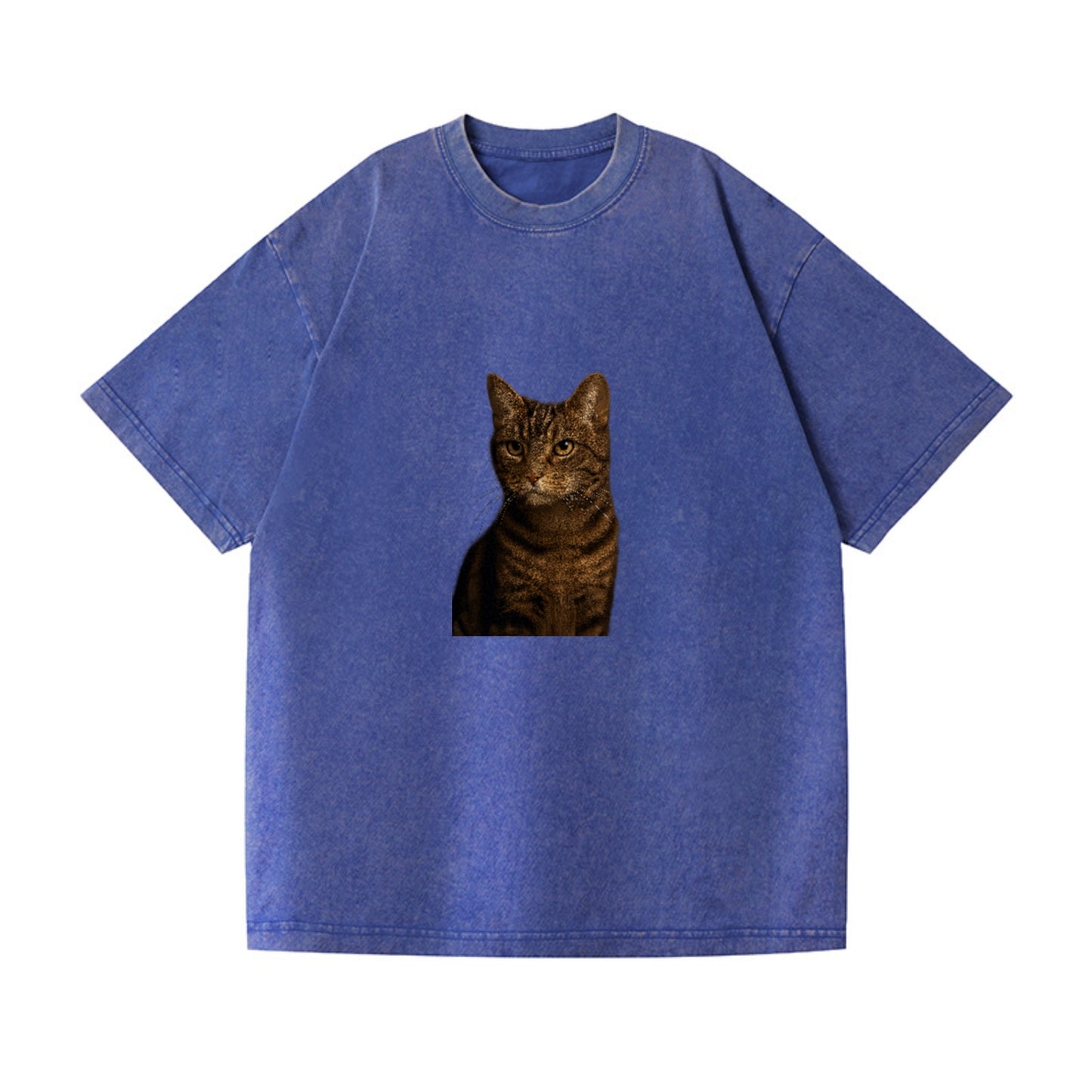 brown-tabby-cozy-charm Hat