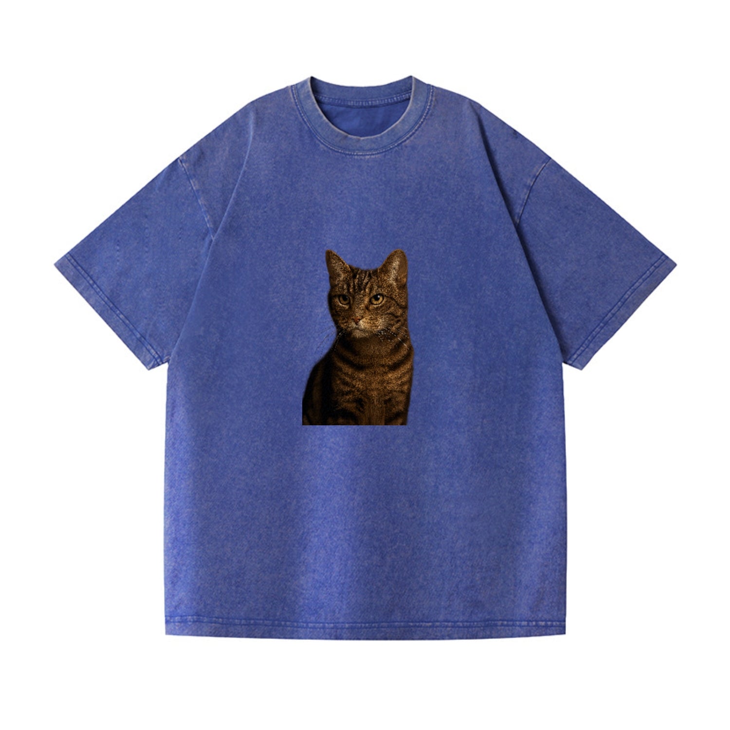 brown-tabby-cozy-charm Hat