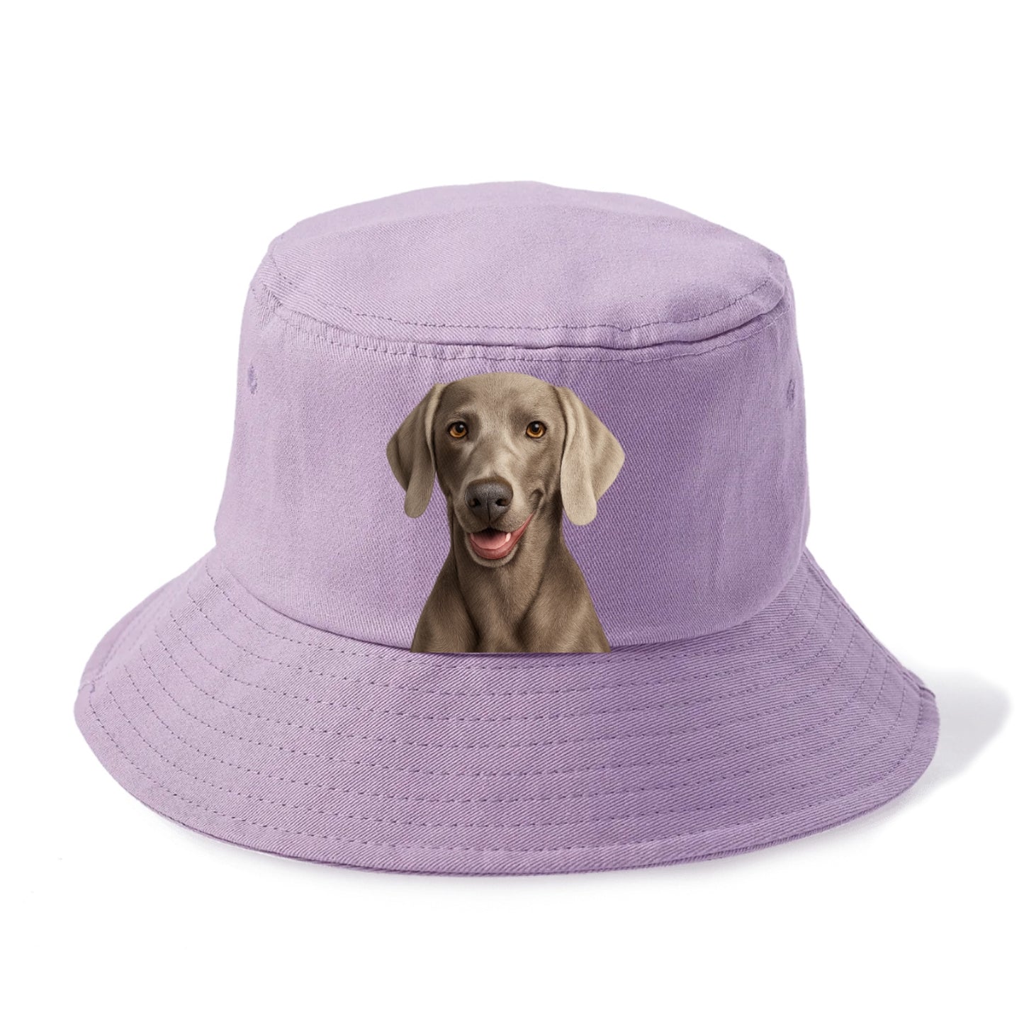 weimaraner portrait design Hat
