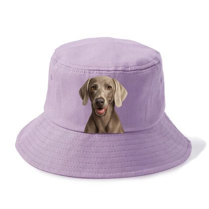 weimaraner portrait design Hat
