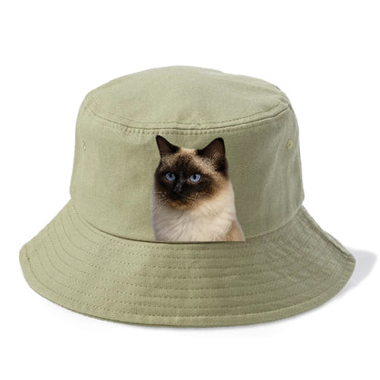 ragdoll-gentle-charm Hat