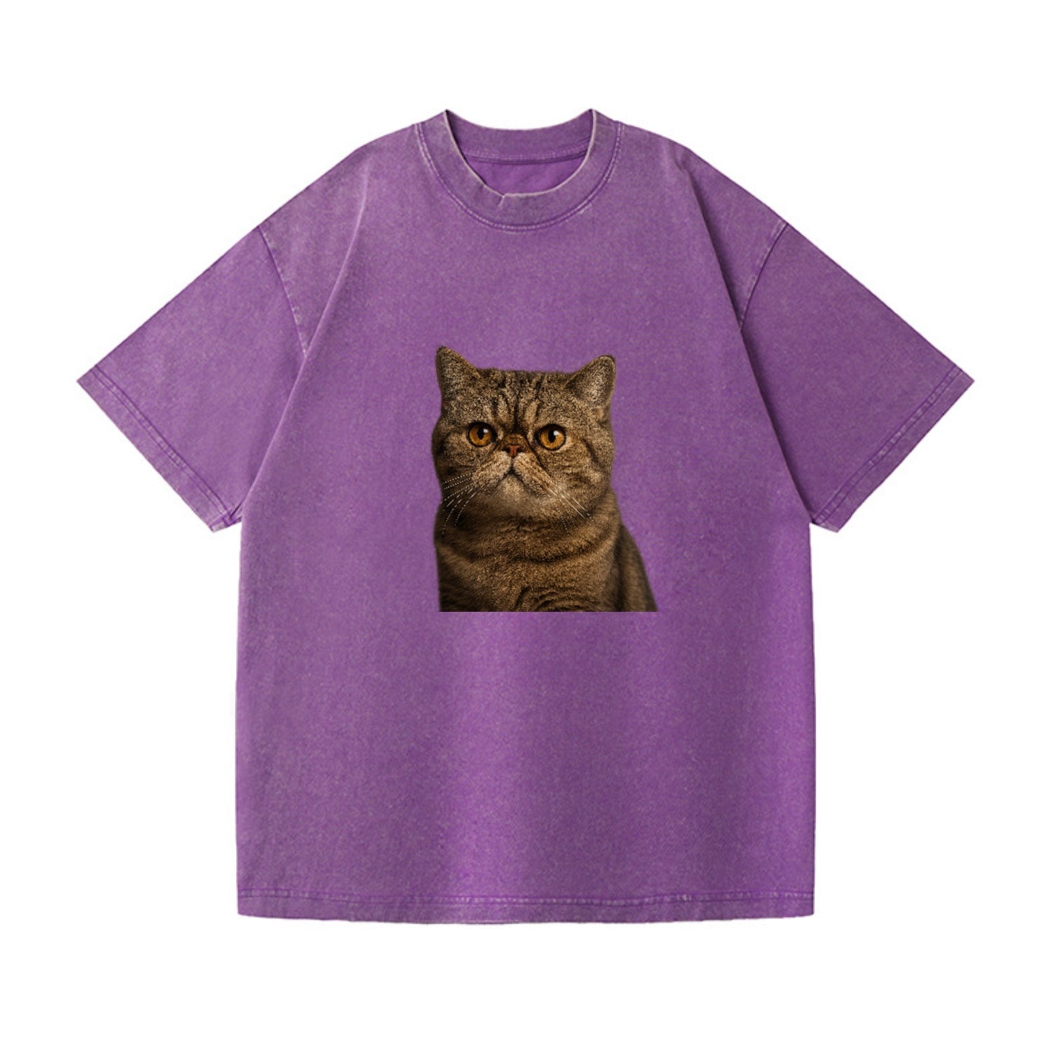 exotic-shorthair-charm Hat