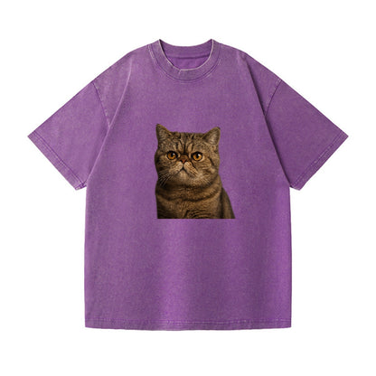 exotic-shorthair-charm Hat