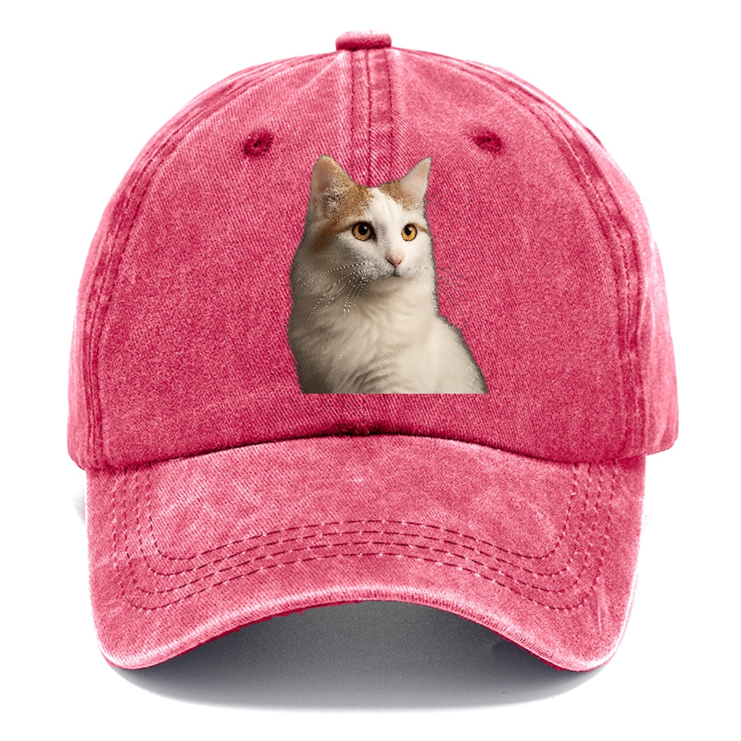 turkish-van-aquatic-elegance Hat