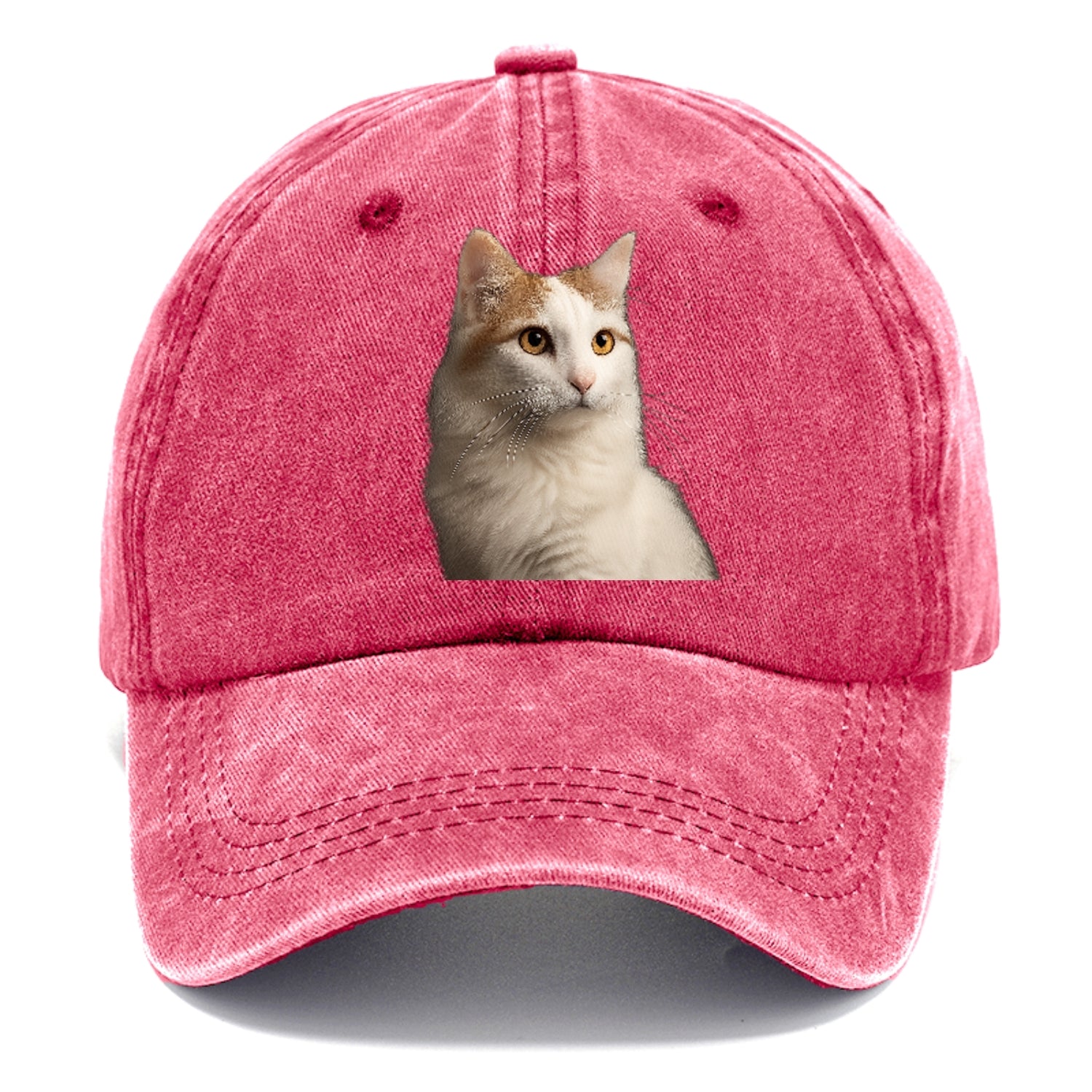 turkish-van-aquatic-elegance Hat