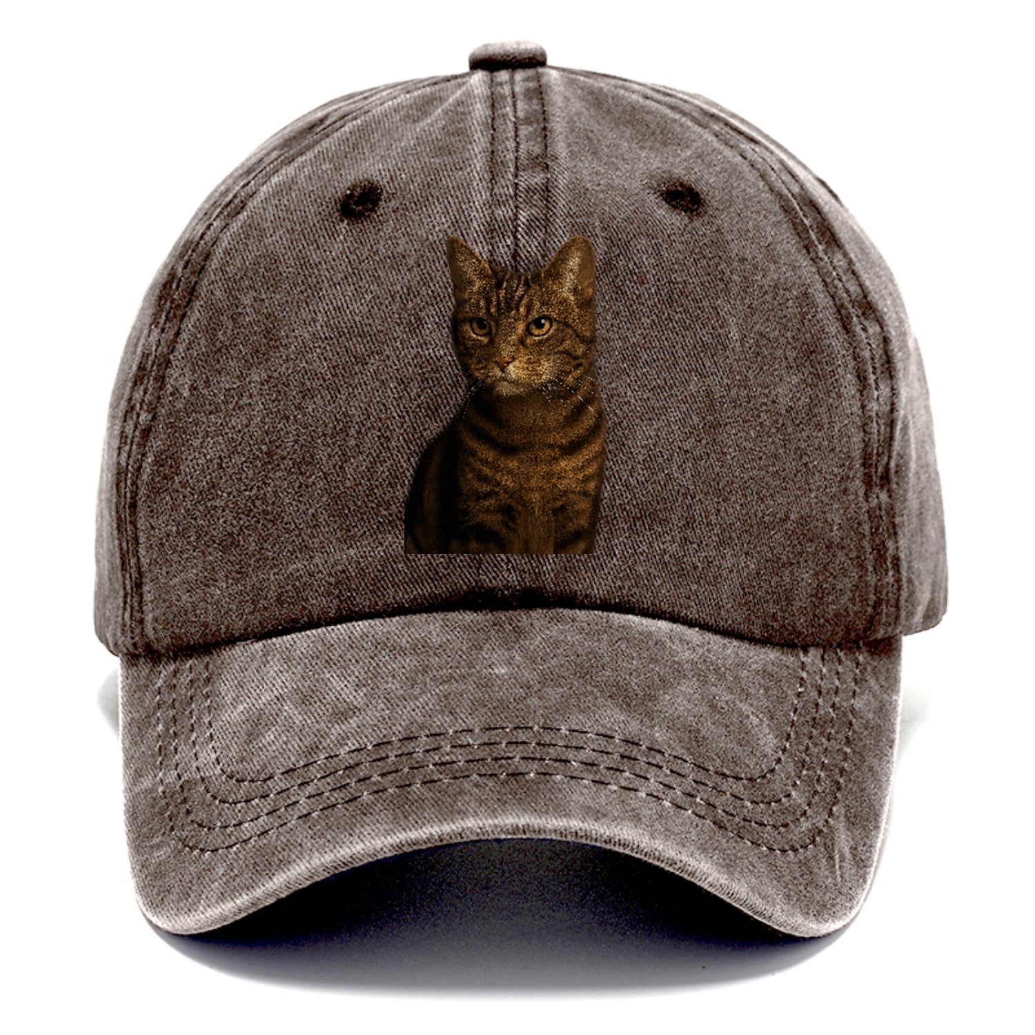brown-tabby-cozy-charm Hat