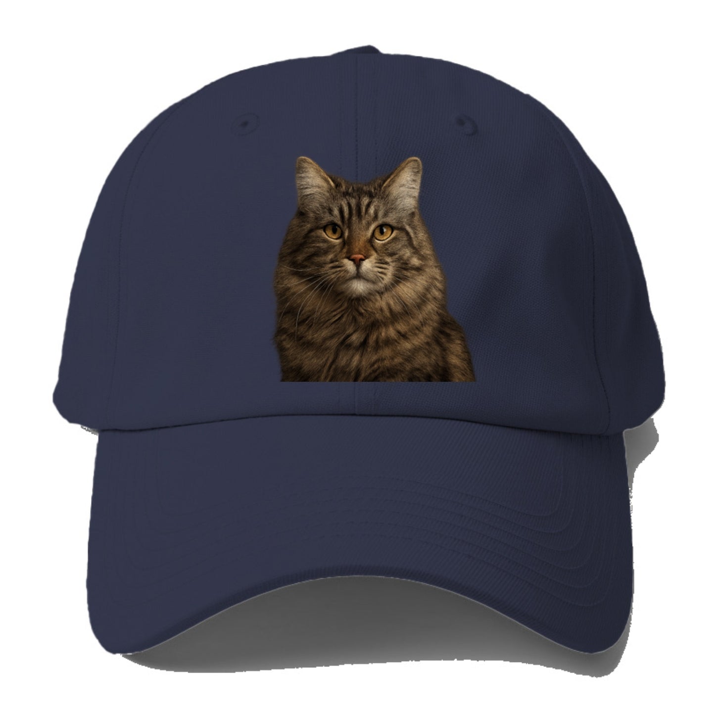 maine coon majestic feline Hat