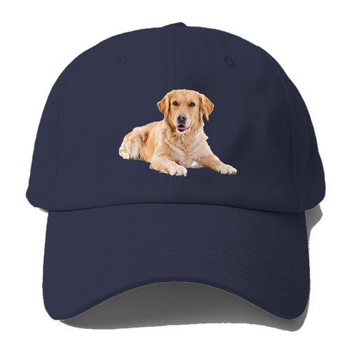 Golden Retriever Laying Down Baseball Cap