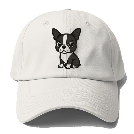 boston terrier black and white sitting pose with tuxedo markings portrait design Hat
