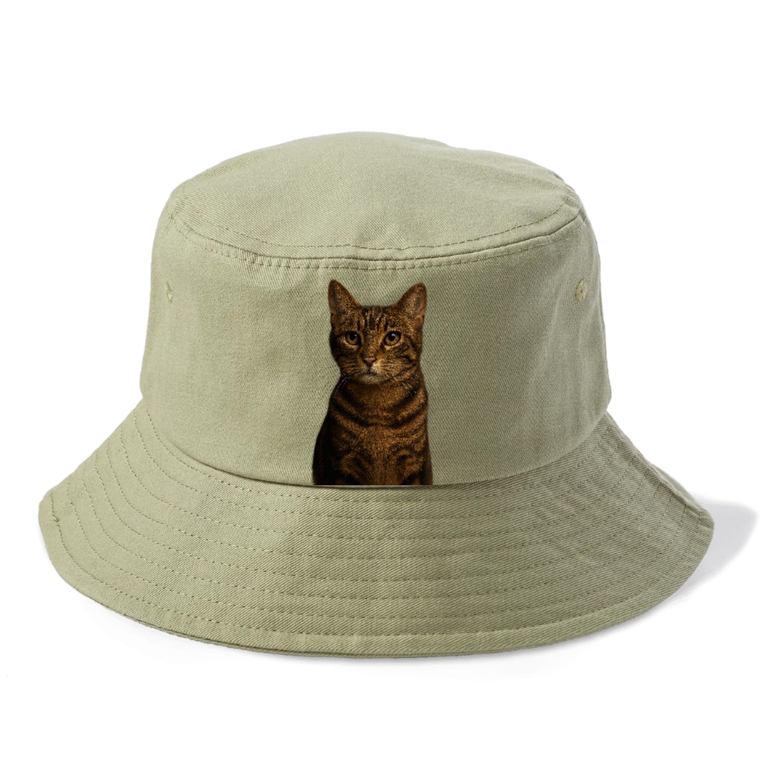 brown-tabby-playful-spirit Hat