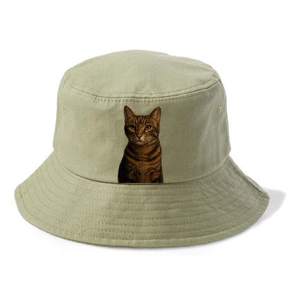 brown-tabby-playful-spirit Hat