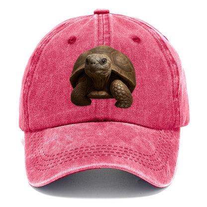 tortoise portrait design Hat