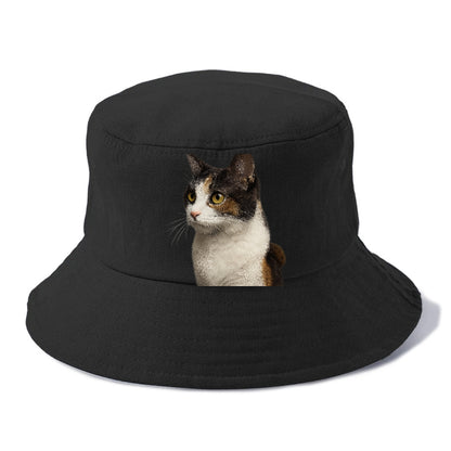 japanese-bobtail-playful-spirit Hat
