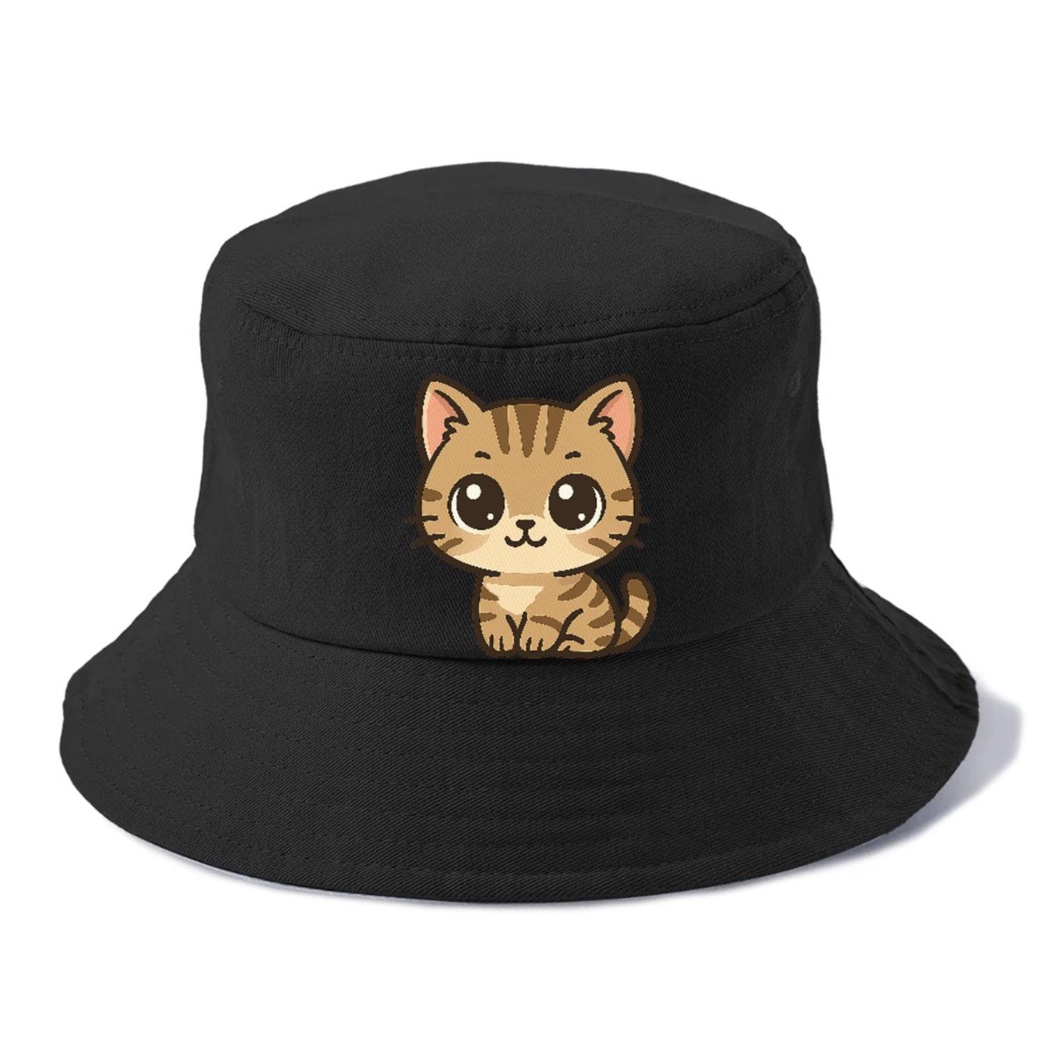 tabby-mix-playful-spirit Hat