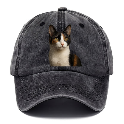 japanese-bobtail-playful-charm Hat