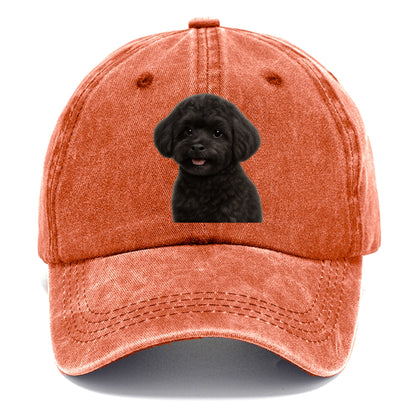 black maltipoo portrait design Hat