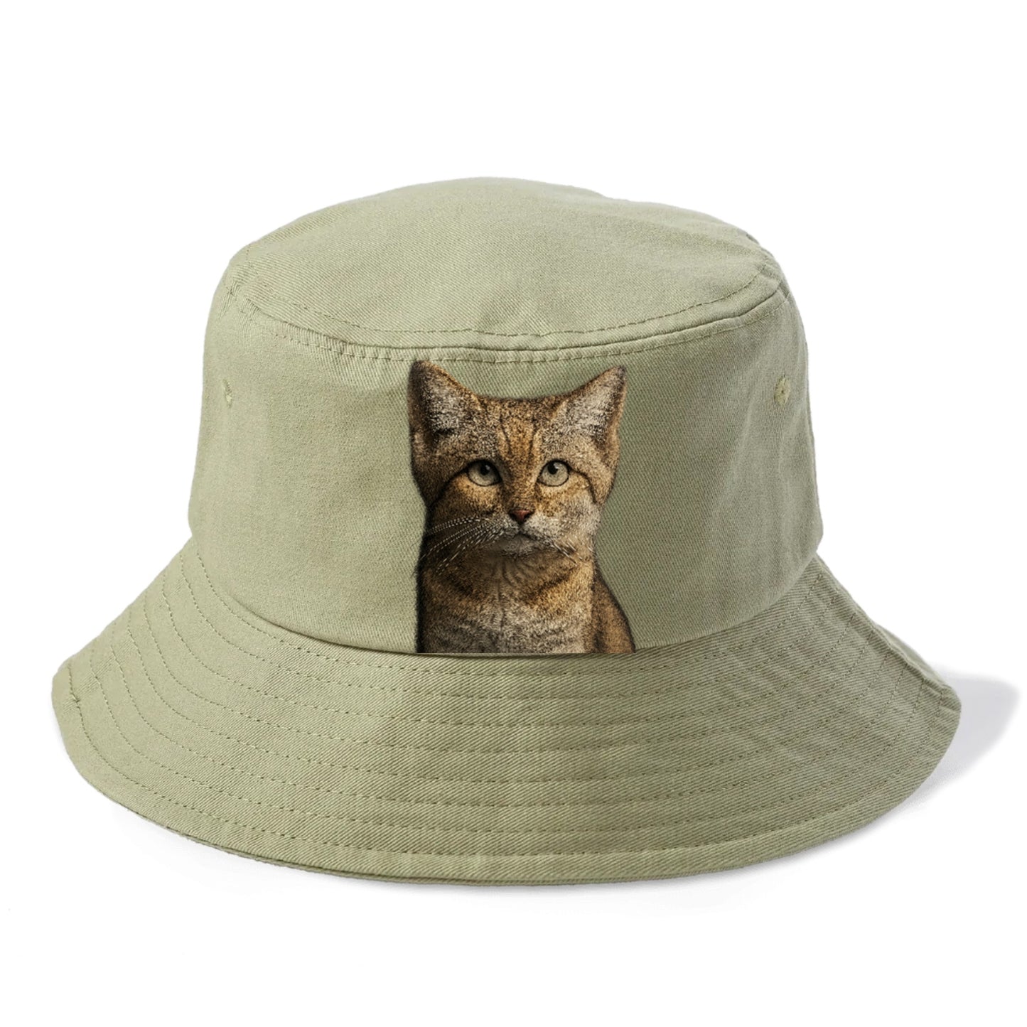 sand-cat-desert-spirit Hat