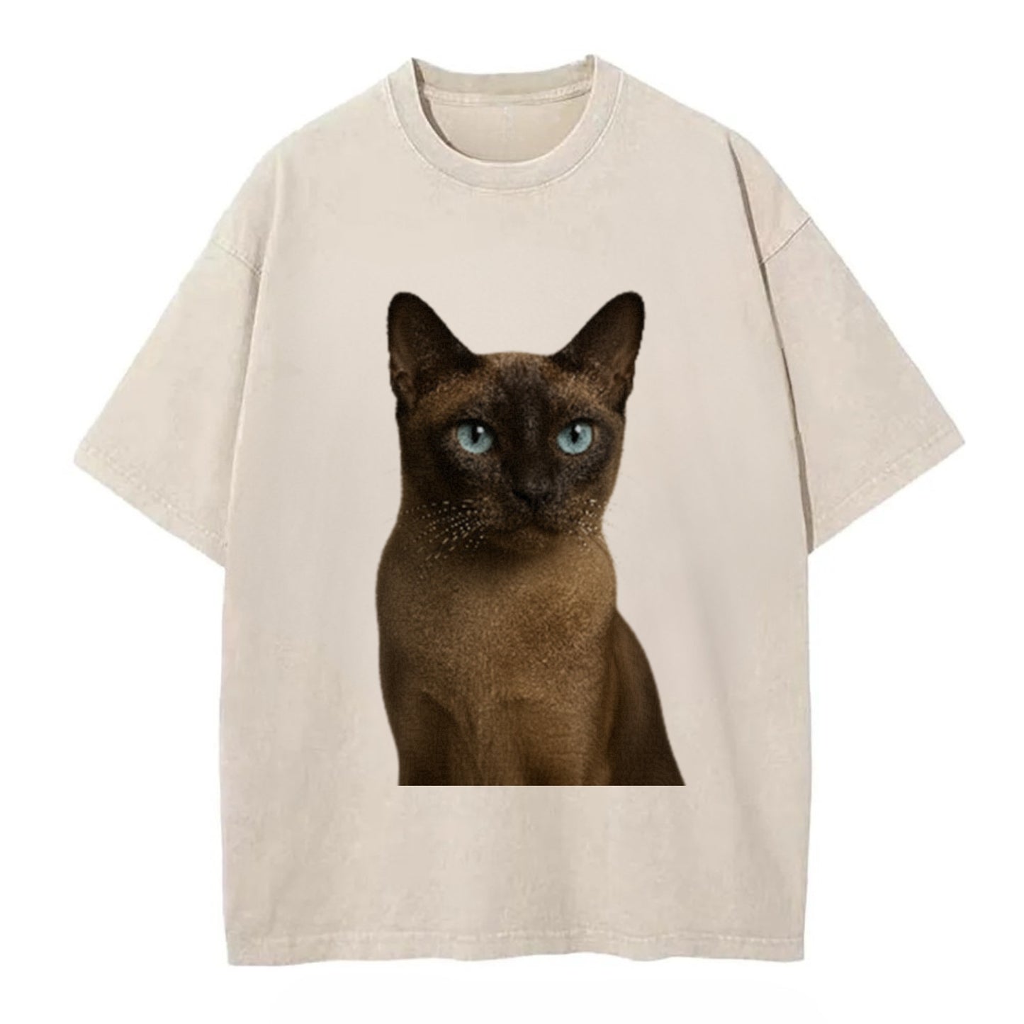 tonkinese-playful-spirit Hat