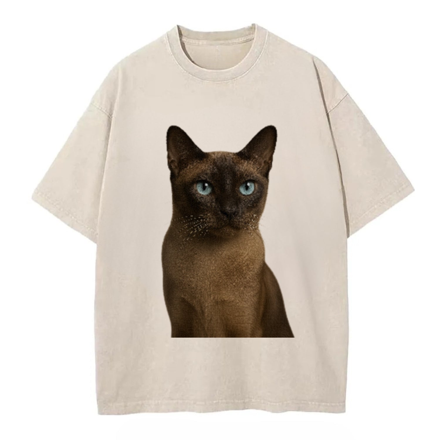 tonkinese-playful-spirit Hat