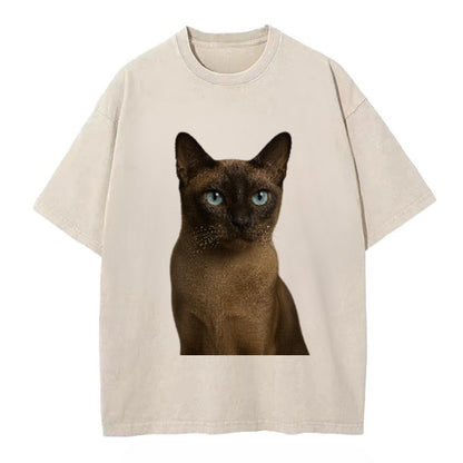 tonkinese-playful-spirit Hat