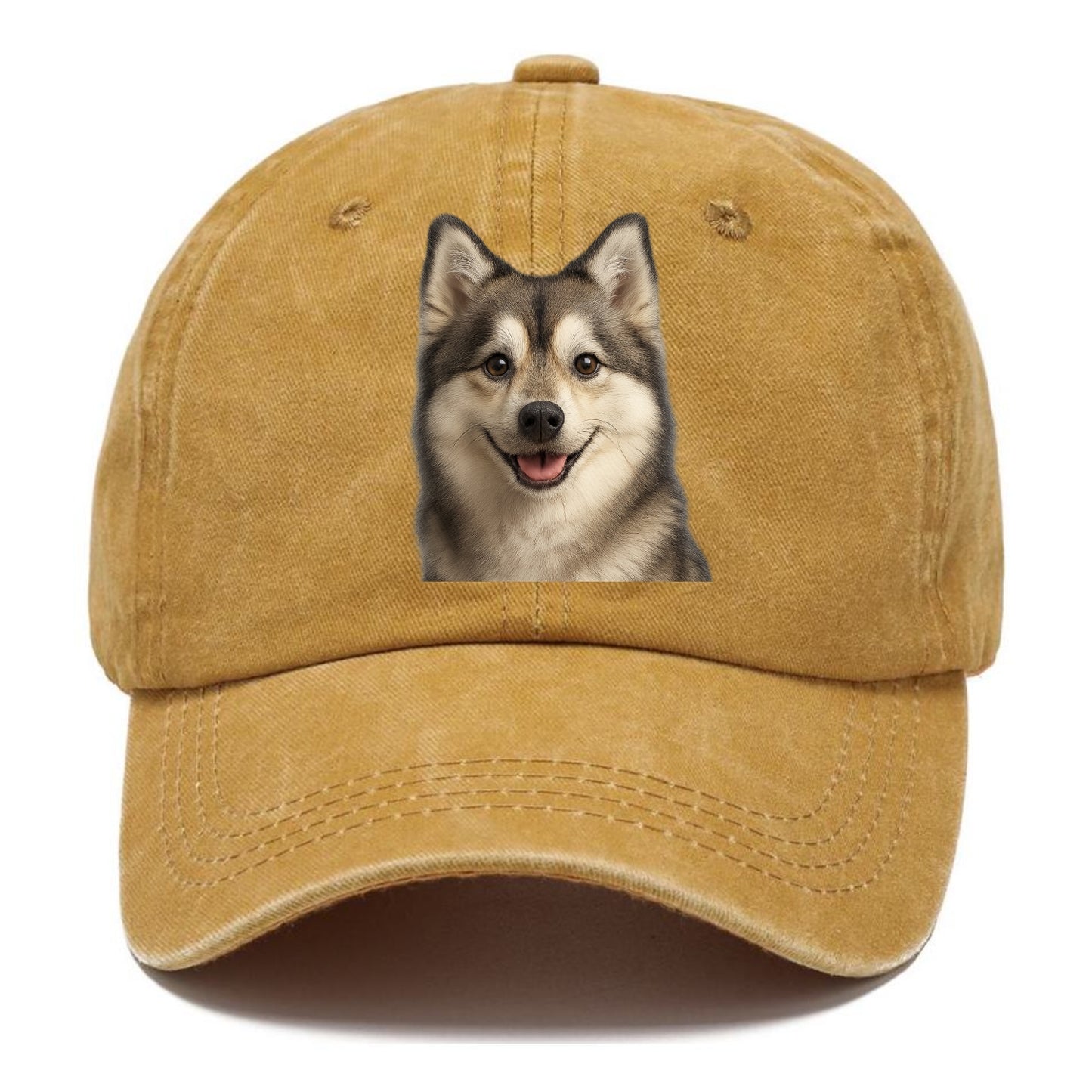 pomsky portrait design Hat