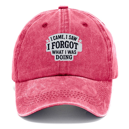 i came i saw i forgot what i was doing Hat