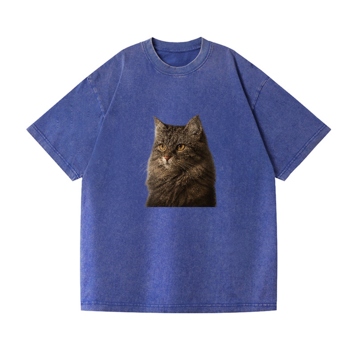 domestic-longhair-graceful-charm Hat