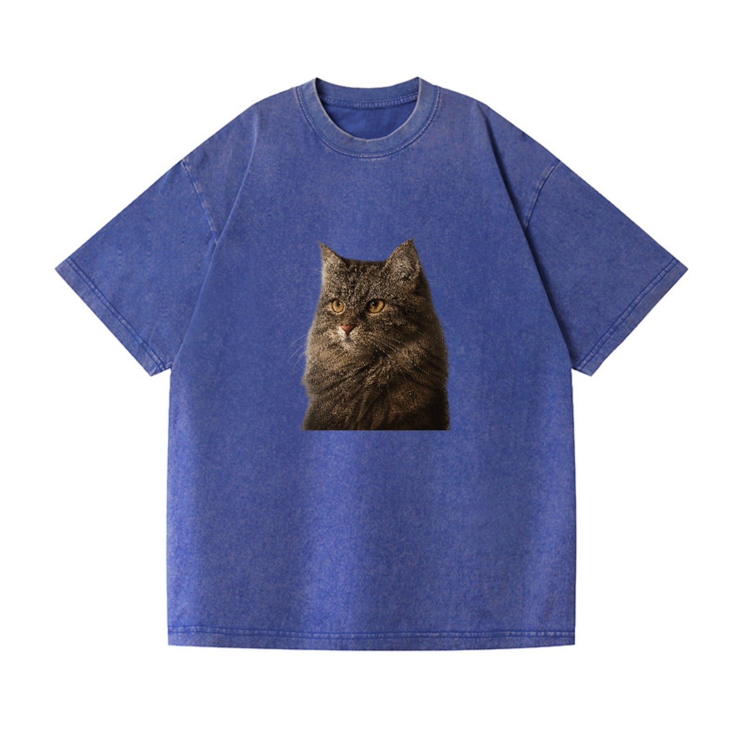 domestic-longhair-graceful-charm Hat