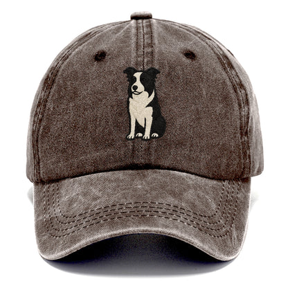 border-collie-intense-focus Hat
