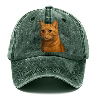 ginger-cat-playful-spirit Hat