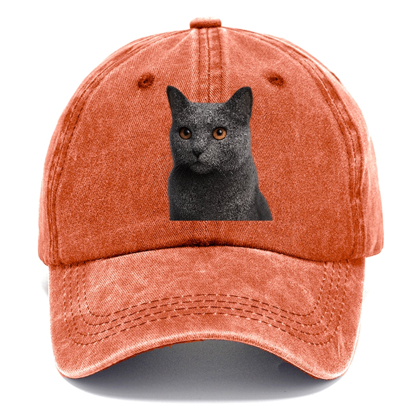 chartreux-regal-charm Hat