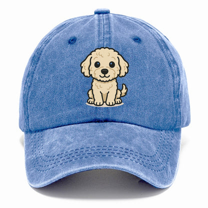 labradoodle curly cream sitting pose portrait design Hat