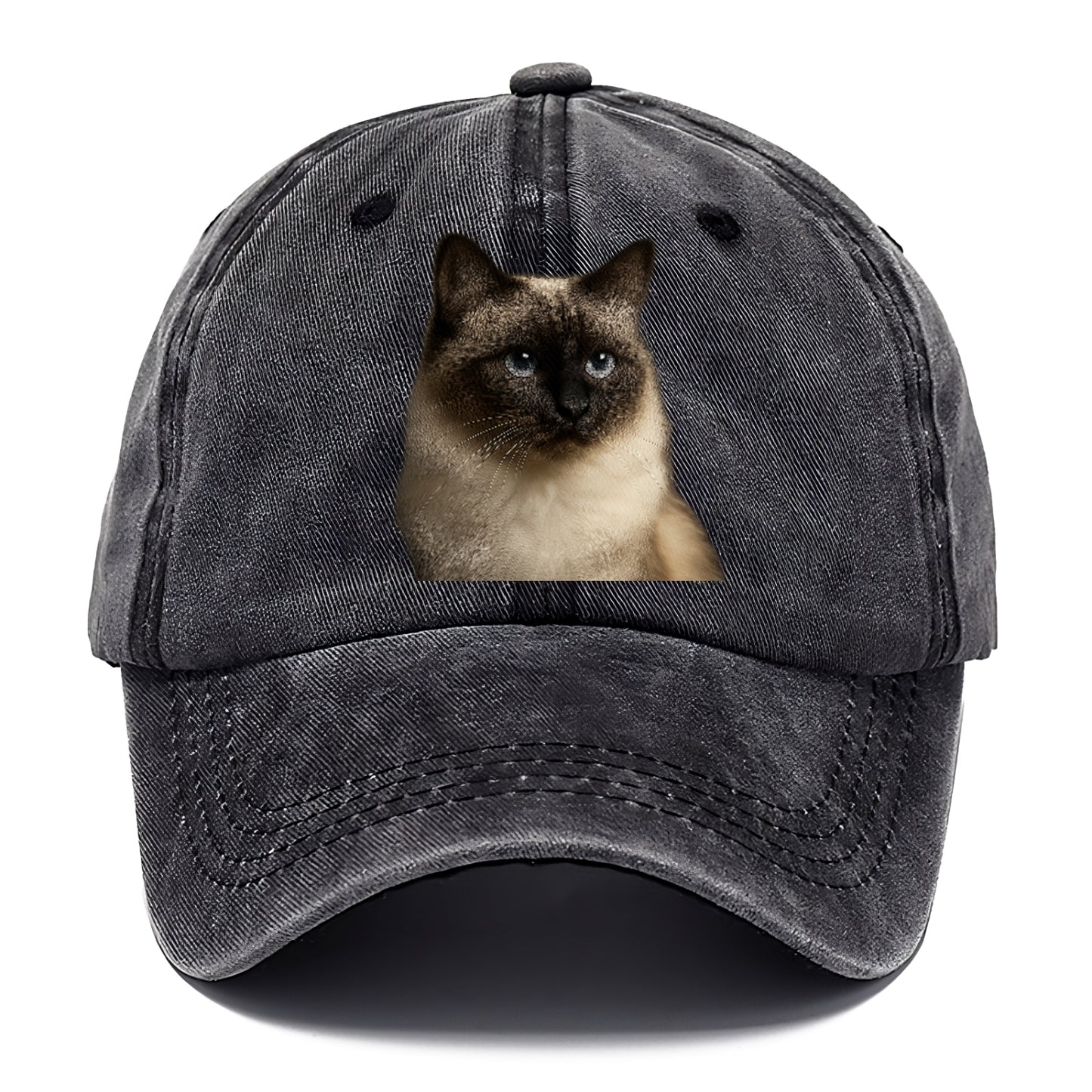 birman-cat-serene-elegance Hat