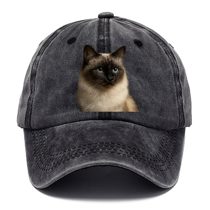 birman-cat-serene-elegance Hat