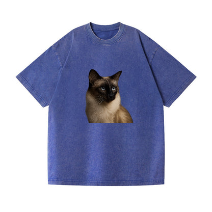 javanese-mystic-aura Hat