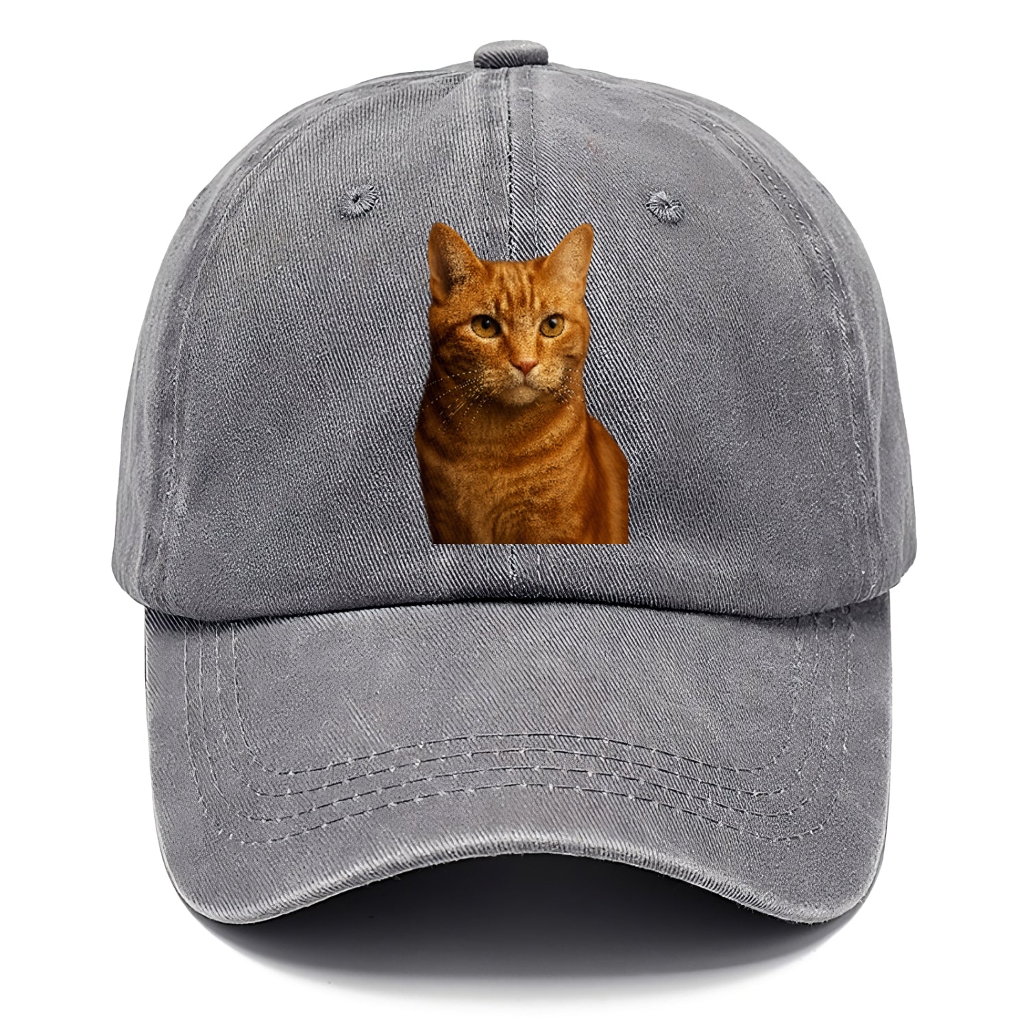 orange-tabby-playful-purr Hat