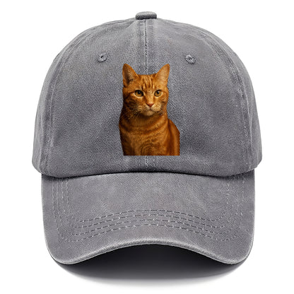 orange-tabby-playful-purr Hat