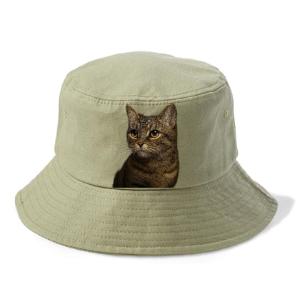 munchkin-cat-charming-spirit Hat