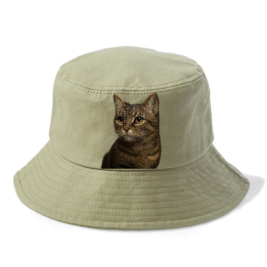 munchkin-cat-charming-spirit Hat