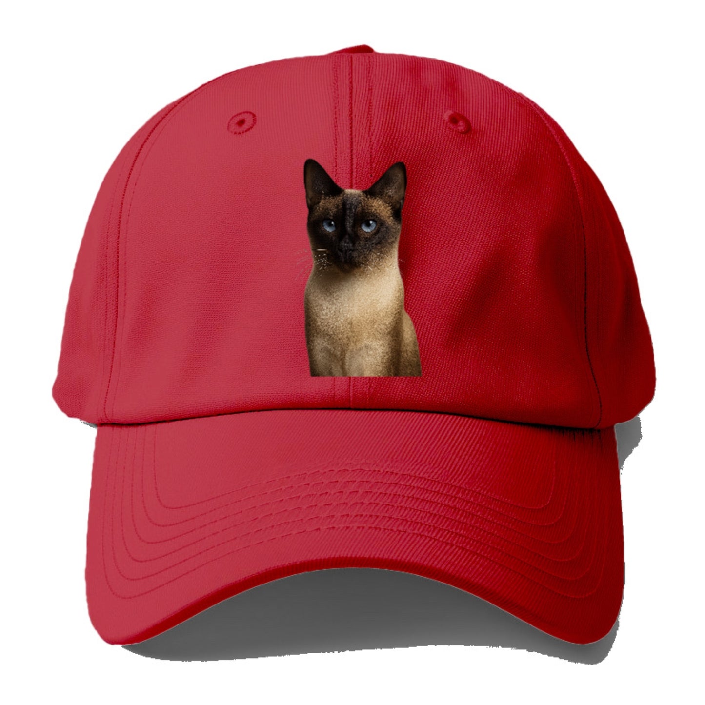 seal-point-siamese-mystical-charm Hat