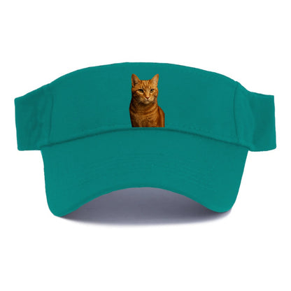 orange-tabby-playful-purr Hat